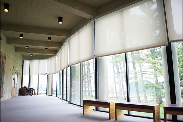 Roller Shades Providing Style and Blocking the Sun