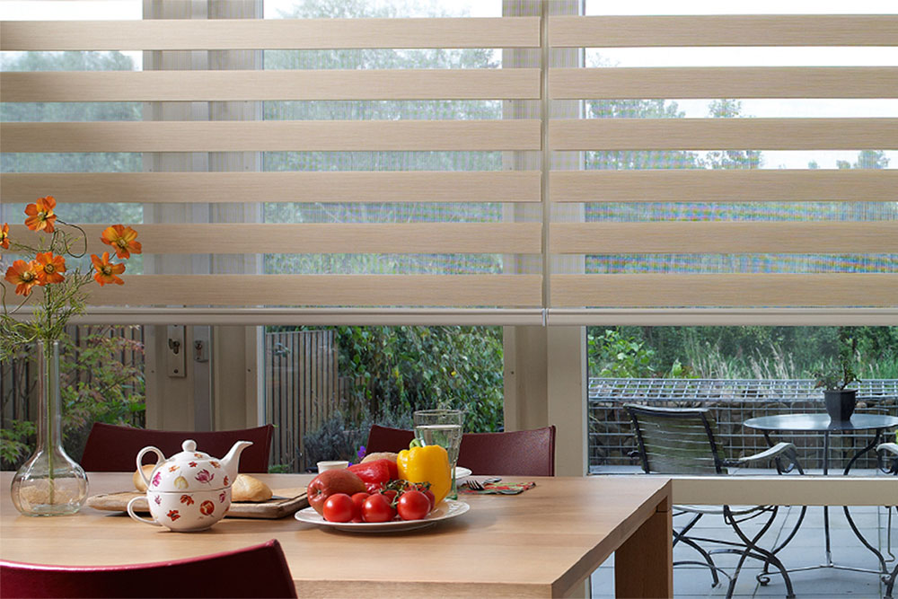 Transitional Shades by Cynergy Blinds